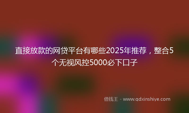直接放款的网贷平台有哪些2025年推荐，整合5个无视风控5000必下口子