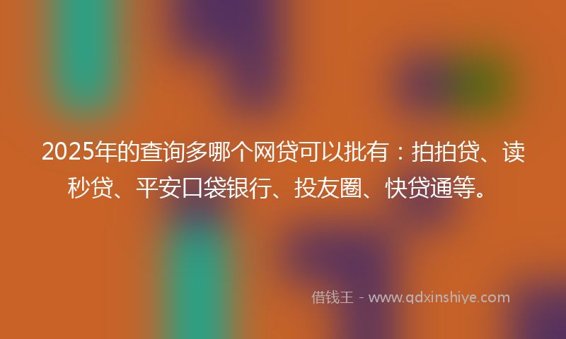 2025年的查询多哪个网贷可以批有：拍拍贷、读秒贷、平安口袋银行、投友圈、快贷通等。