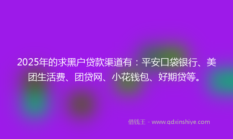 2025年的求黑户贷款渠道有：平安口袋银行、美团生活费、团贷网、小花钱包、好期贷等。