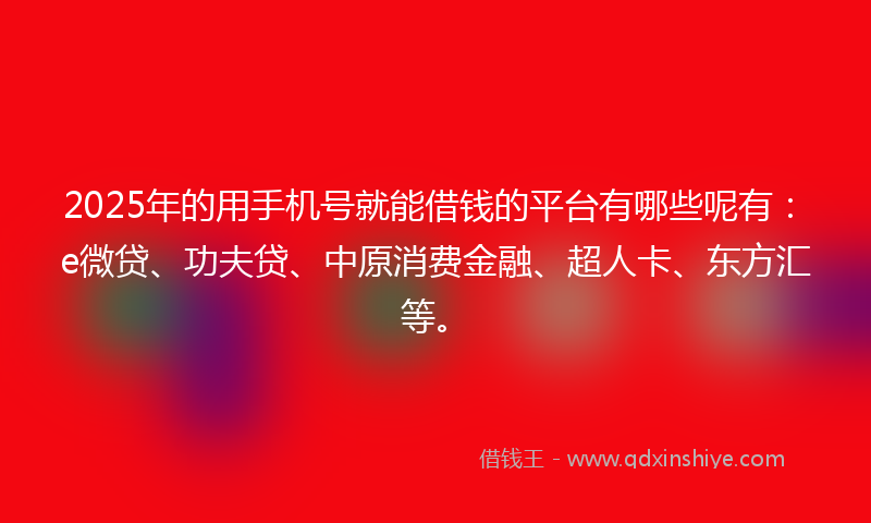 2025年的用手机号就能借钱的平台有哪些呢有：e微贷、功夫贷、中原消费金融、超人卡、东方汇等。