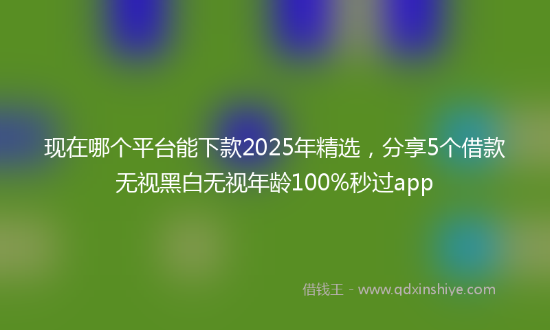 现在哪个平台能下款2025年精选，分享5个借款无视黑白无视年龄100%秒过app