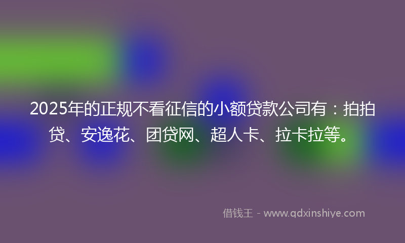 2025年的正规不看征信的小额贷款公司有：拍拍贷、安逸花、团贷网、超人卡、拉卡拉等。