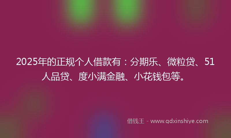 2025年的正规个人借款有：分期乐、微粒贷、51人品贷、度小满金融、小花钱包等。