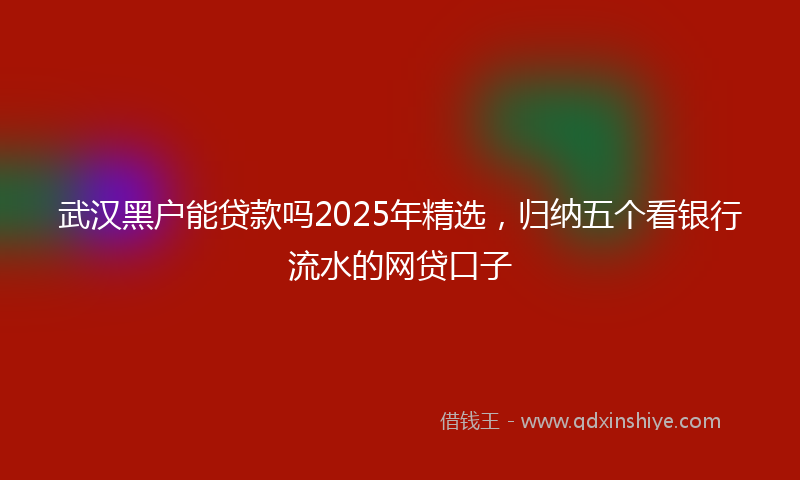 武汉黑户能贷款吗2025年精选，归纳五个看银行流水的网贷口子