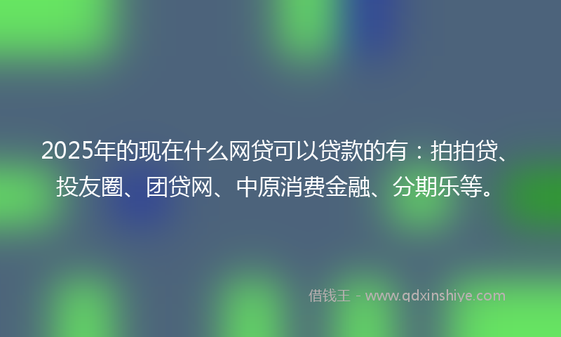 2025年的现在什么网贷可以贷款的有：拍拍贷、投友圈、团贷网、中原消费金融、分期乐等。