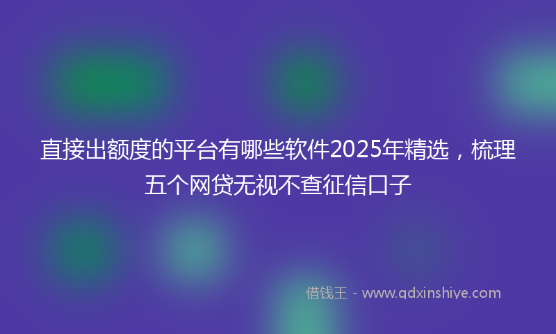 直接出额度的平台有哪些软件2025年精选，梳理五个网贷无视不查征信口子