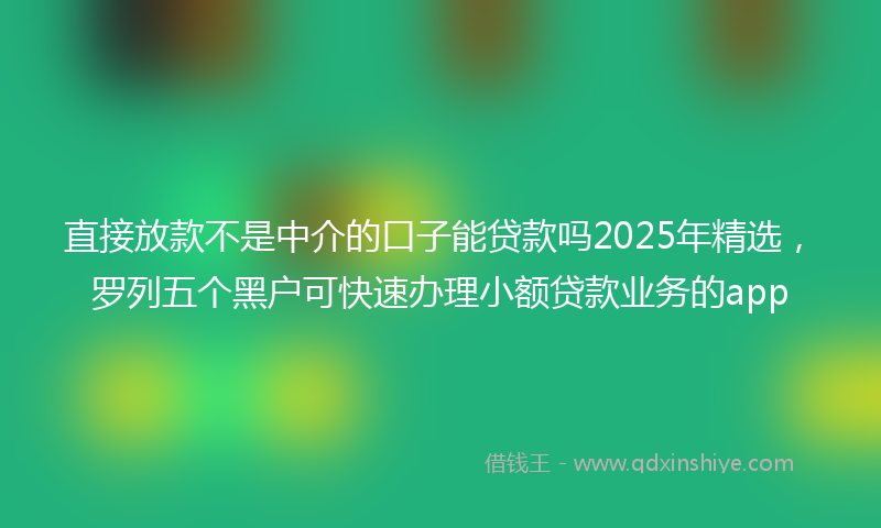 直接放款不是中介的口子能贷款吗2025年精选，罗列五个黑户可快速办理小额贷款业务的app