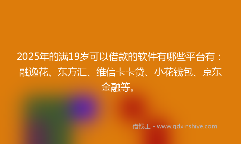 2025年的满19岁可以借款的软件有哪些平台有：融逸花、东方汇、维信卡卡贷、小花钱包、京东金融等。