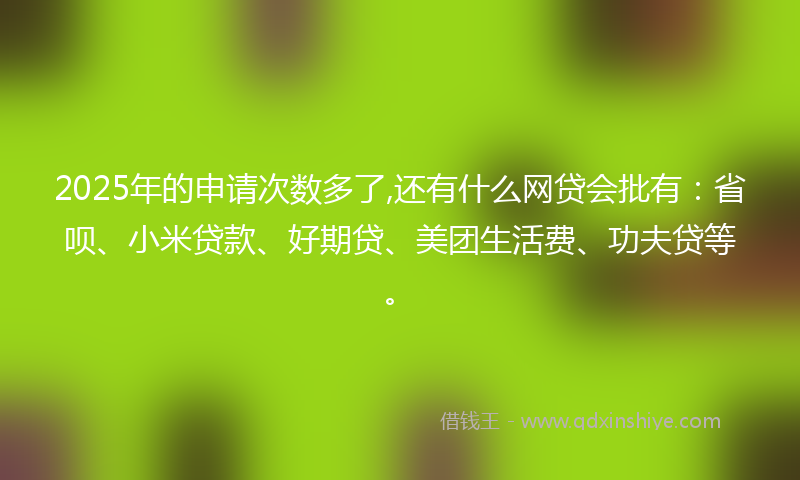 2025年的申请次数多了,还有什么网贷会批有：省呗、小米贷款、好期贷、美团生活费、功夫贷等。