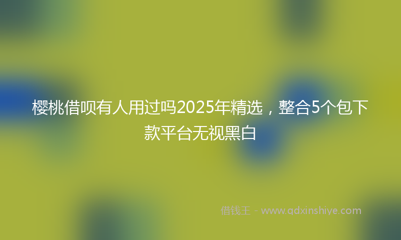 樱桃借呗有人用过吗2025年精选，整合5个包下款平台无视黑白