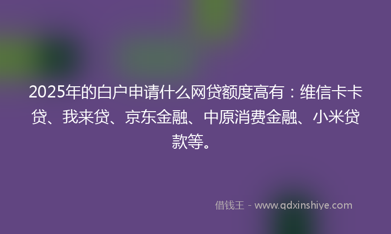 2025年的白户申请什么网贷额度高有：维信卡卡贷、我来贷、京东金融、中原消费金融、小米贷款等。