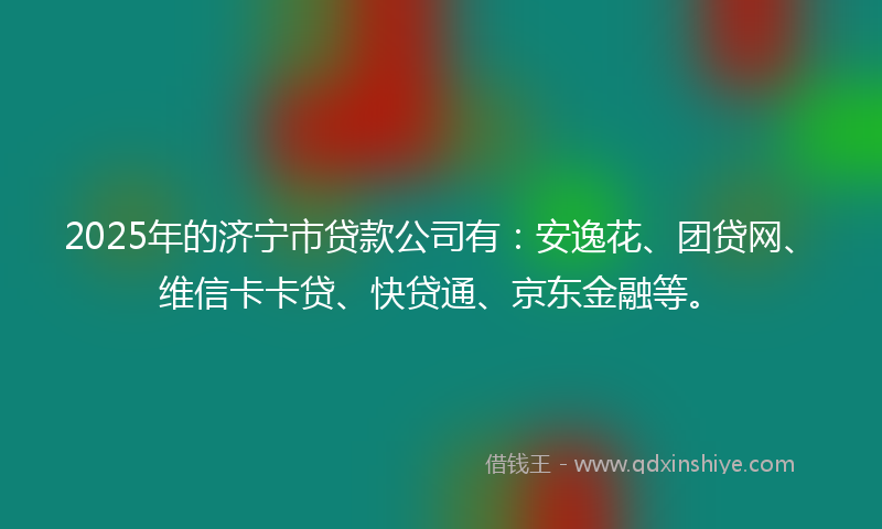 2025年的济宁市贷款公司有：安逸花、团贷网、维信卡卡贷、快贷通、京东金融等。