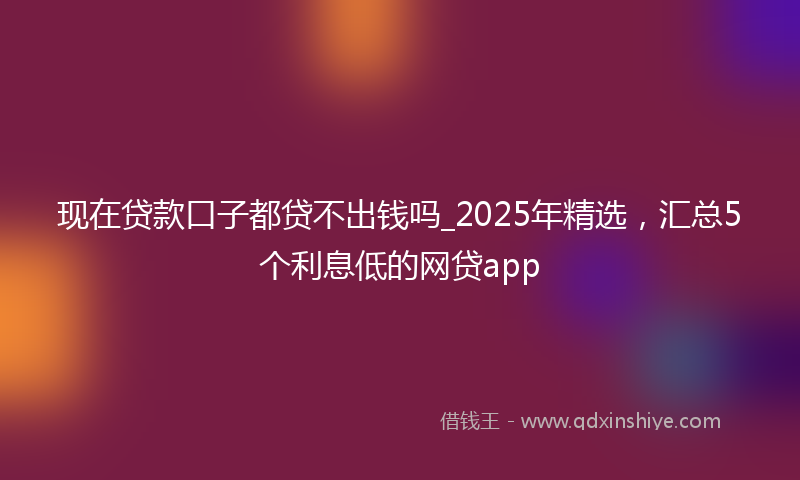 现在贷款口子都贷不出钱吗_2025年精选，汇总5个利息低的网贷app