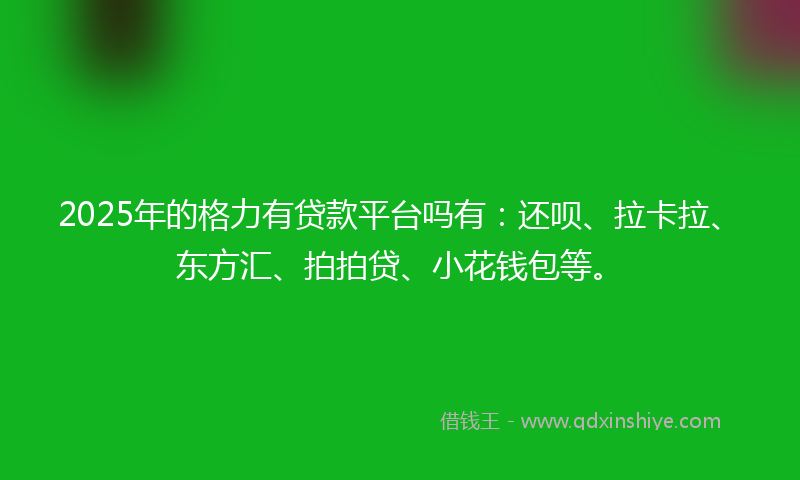 2025年的格力有贷款平台吗有：还呗、拉卡拉、东方汇、拍拍贷、小花钱包等。