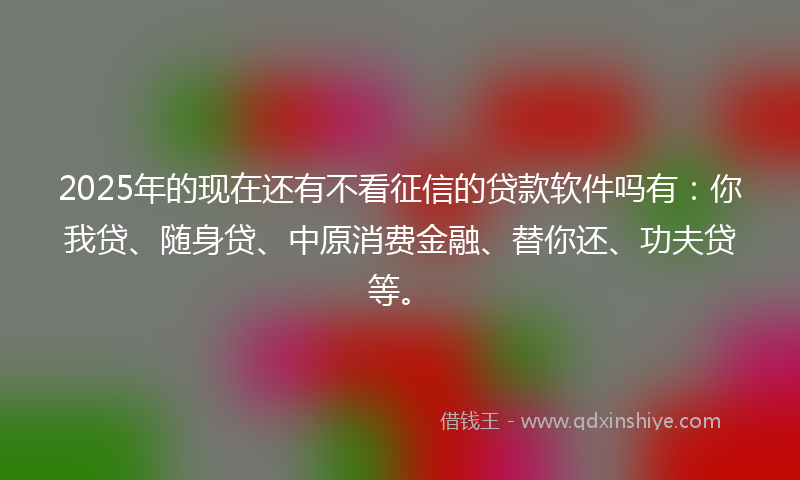 2025年的现在还有不看征信的贷款软件吗有：你我贷、随身贷、中原消费金融、替你还、功夫贷等。
