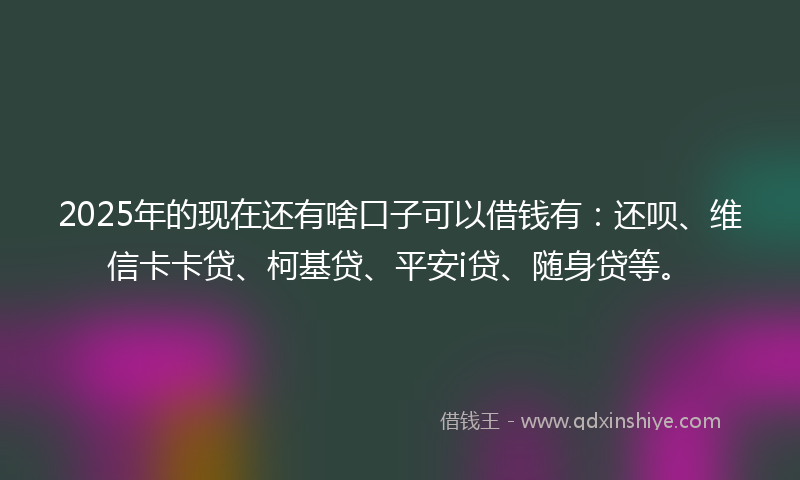 2025年的现在还有啥口子可以借钱有：还呗、维信卡卡贷、柯基贷、平安i贷、随身贷等。
