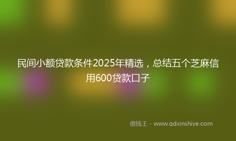 民间小额贷款条件2025年精选，总结五个芝麻信用600贷款口子