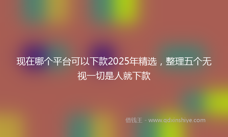 现在哪个平台可以下款2025年精选，整理五个无视一切是人就下款