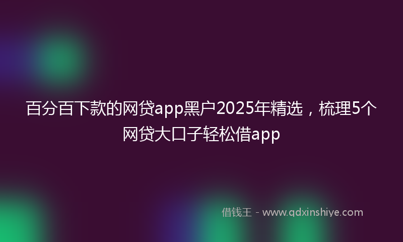 百分百下款的网贷app黑户2025年精选，梳理5个网贷大口子轻松借app
