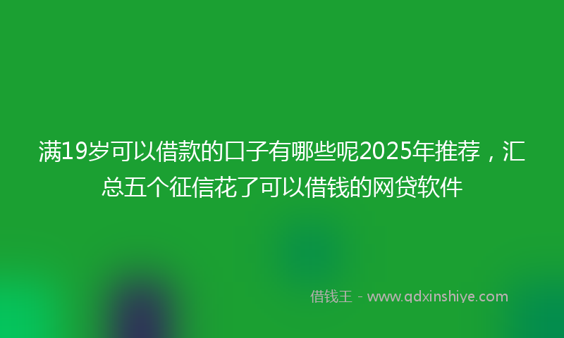 满19岁可以借款的口子有哪些呢2025年推荐，汇总五个征信花了可以借钱的网贷软件