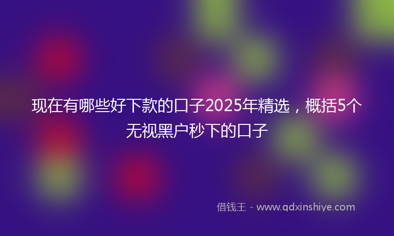 现在有哪些好下款的口子2025年精选，概括5个无视黑户秒下的口子