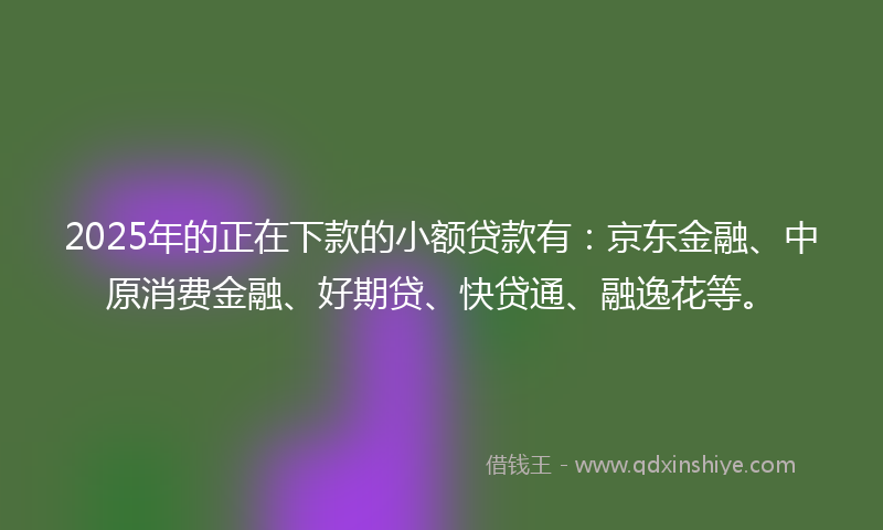 2025年的正在下款的小额贷款有：京东金融、中原消费金融、好期贷、快贷通、融逸花等。