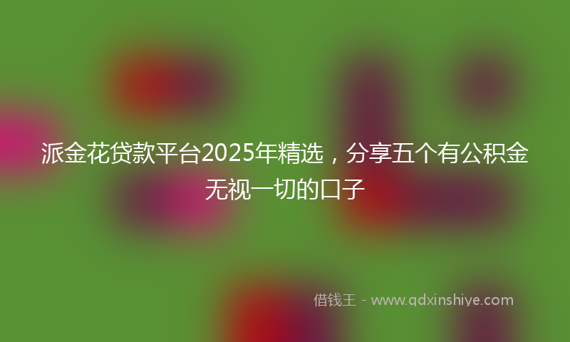 派金花贷款平台2025年精选,分享五个有公积金无视一切的口子