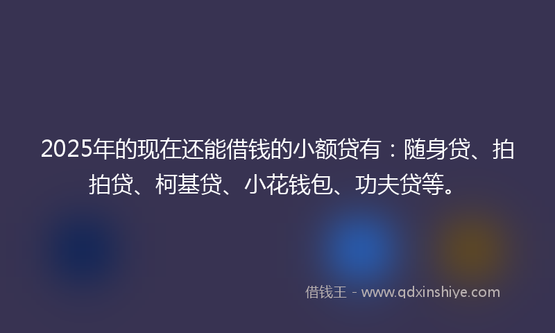 2025年的现在还能借钱的小额贷有：随身贷、拍拍贷、柯基贷、小花钱包、功夫贷等。
