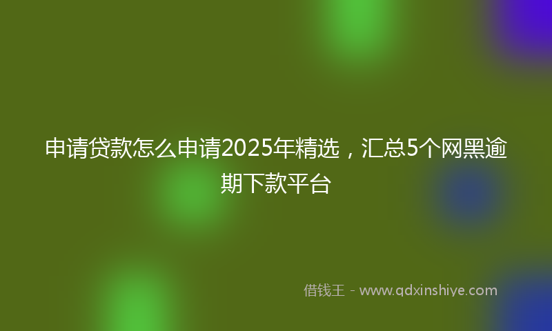 申请贷款怎么申请2025年精选，汇总5个网黑逾期下款平台