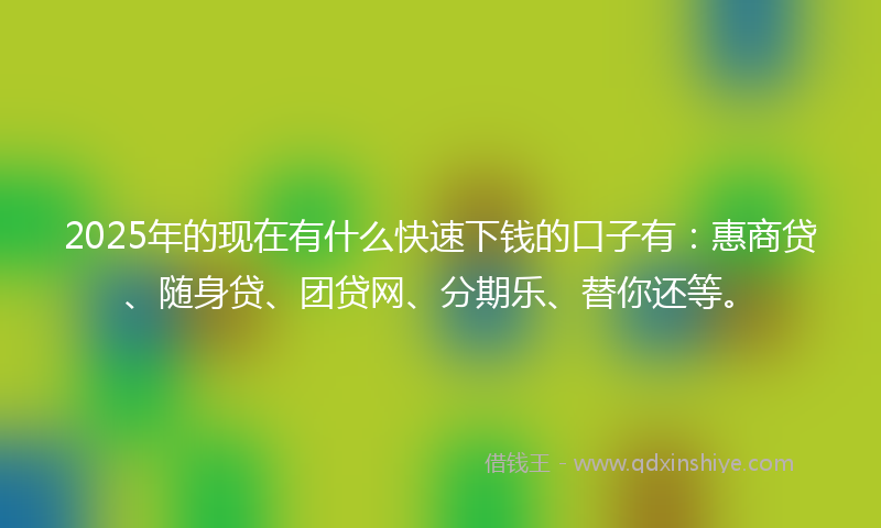 2025年的现在有什么快速下钱的口子有：惠商贷、随身贷、团贷网、分期乐、替你还等。