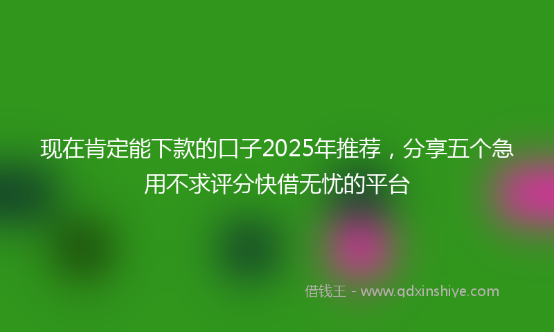 现在肯定能下款的口子2025年推荐，分享五个急用不求评分快借无忧的平台