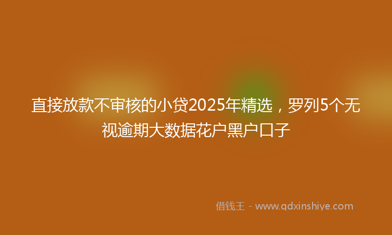 直接放款不审核的小贷2025年精选，罗列5个无视逾期大数据花户黑户口子