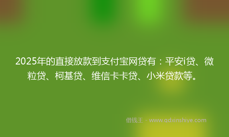 2025年的直接放款到支付宝网贷有：平安i贷、微粒贷、柯基贷、维信卡卡贷、小米贷款等。