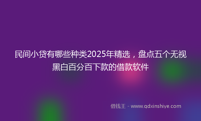 民间小贷有哪些种类2025年精选，盘点五个无视黑白百分百下款的借款软件