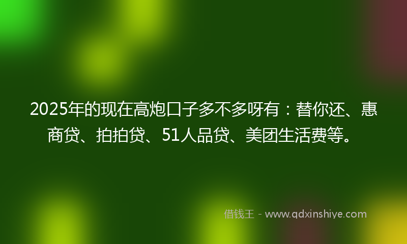 2025年的现在高炮口子多不多呀有：替你还、惠商贷、拍拍贷、51人品贷、美团生活费等。