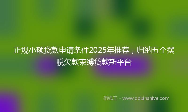 正规小额贷款申请条件2025年推荐，归纳五个摆脱欠款束缚贷款新平台