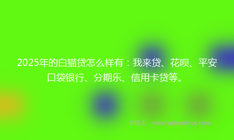 2025年的白猫贷怎么样有：我来贷、花呗、平安口袋银行、分期乐、信用卡贷等。