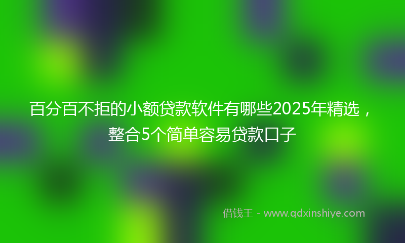 百分百不拒的小额贷款软件有哪些2025年精选，整合5个简单容易贷款口子
