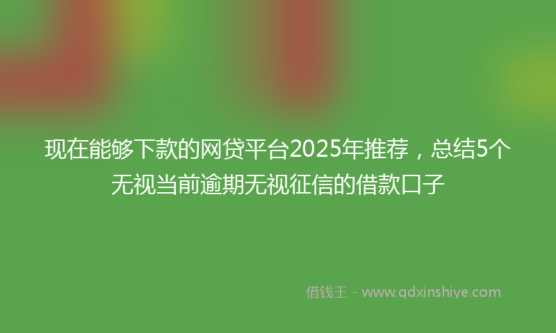 现在能够下款的网贷平台2025年推荐，总结5个无视当前逾期无视征信的借款口子