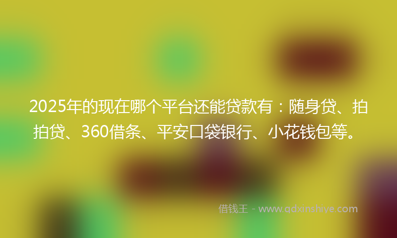 2025年的现在哪个平台还能贷款有：随身贷、拍拍贷、360借条、平安口袋银行、小花钱包等。