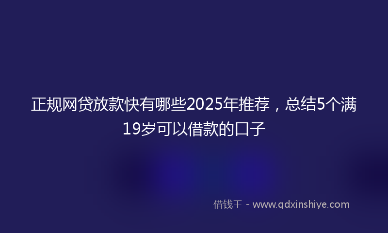 正规网贷放款快有哪些2025年推荐，总结5个满19岁可以借款的口子