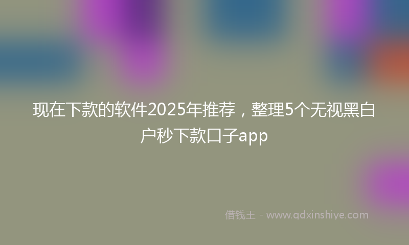 现在下款的软件2025年推荐,整理5个无视黑白户秒下款口子app