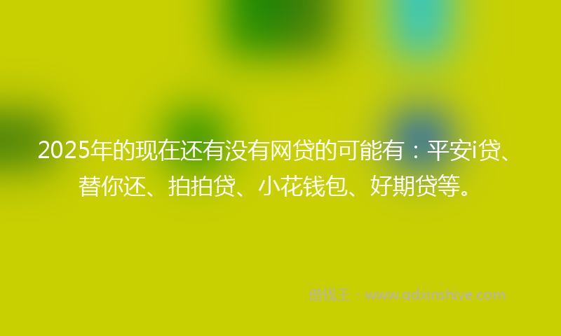 2025年的现在还有没有网贷的可能有：平安i贷、替你还、拍拍贷、小花钱包、好期贷等。