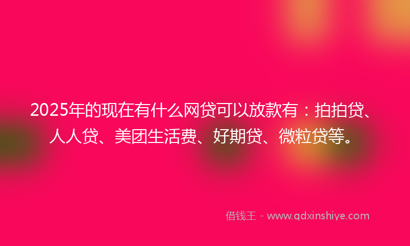 2025年的现在有什么网贷可以放款有：拍拍贷、人人贷、美团生活费、好期贷、微粒贷等。