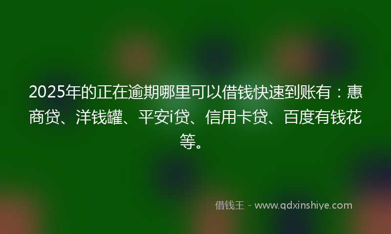 2025年的正在逾期哪里可以借钱快速到账有：惠商贷、洋钱罐、平安i贷、信用卡贷、百度有钱花等。