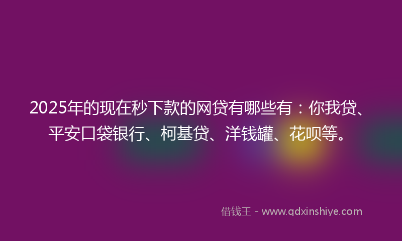 2025年的现在秒下款的网贷有哪些有：你我贷、平安口袋银行、柯基贷、洋钱罐、花呗等。