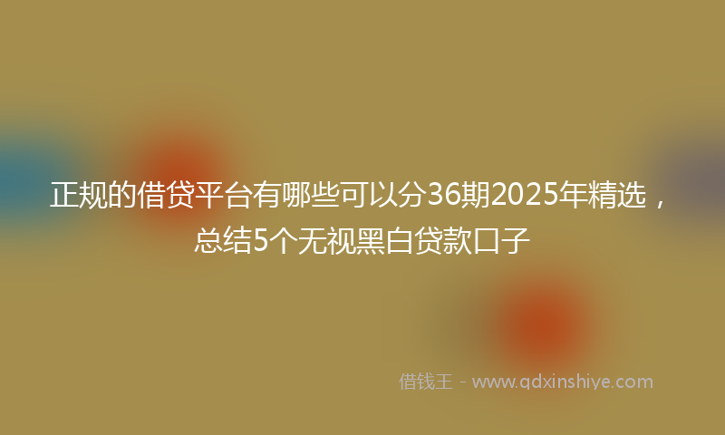 正规的借贷平台有哪些可以分36期2025年精选，总结5个无视黑白贷款口子