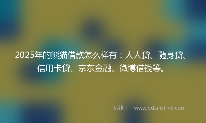 2025年的熊猫借款怎么样有：人人贷、随身贷、信用卡贷、京东金融、微博借钱等。