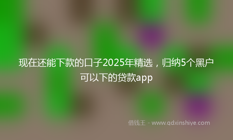 现在还能下款的口子2025年精选，归纳5个黑户可以下的贷款app