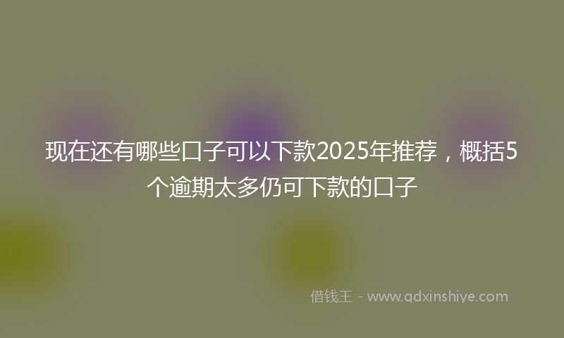 现在还有哪些口子可以下款2025年推荐，概括5个逾期太多仍可下款的口子